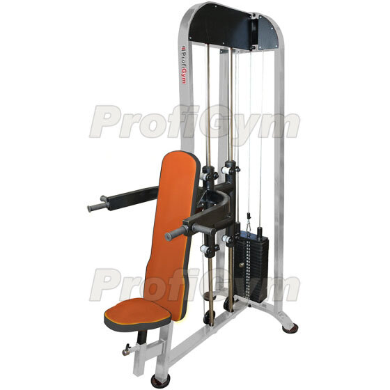 Тренажер для жима вертикально ProfiGym ТГ-0260-C Тренажер для жима вертикально ProfiGym ТГ-0260-C