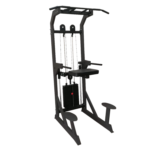 Гравитрон BRONZE GYM BG-AL-701 